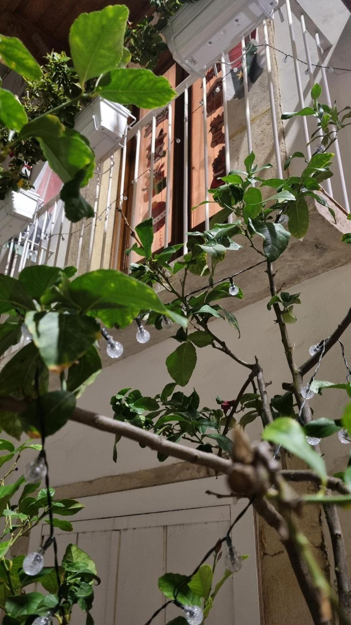 In Parva Domus Apartment Bitonto